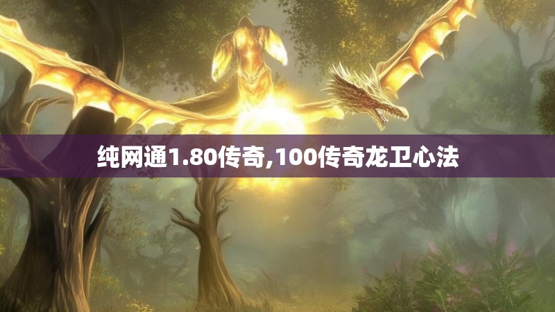 纯网通1.80传奇,100传奇龙卫心法