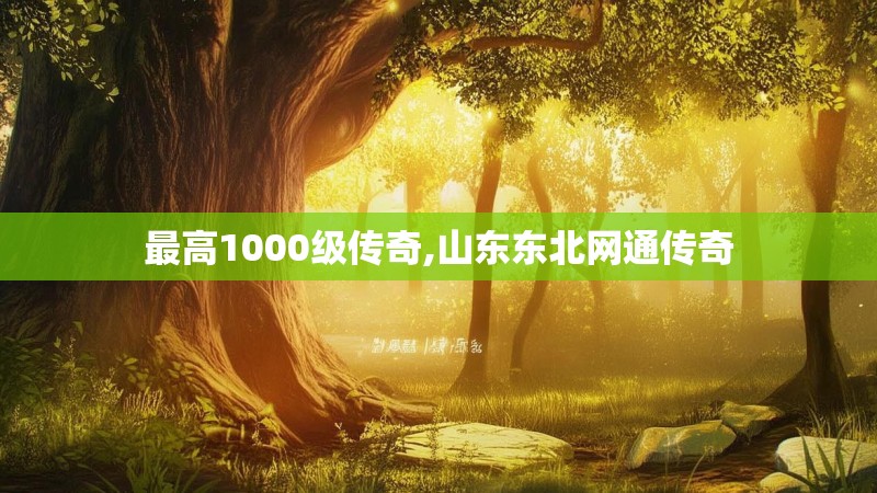 最高1000级传奇,山东东北网通传奇