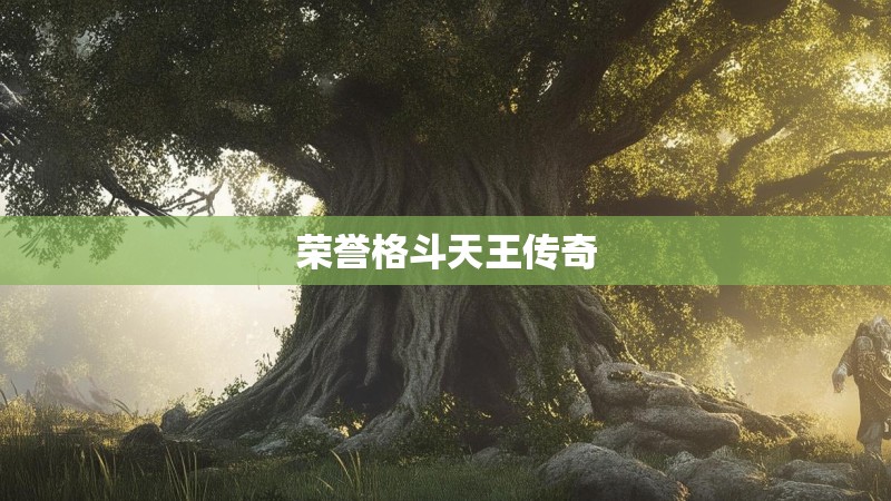 荣誉格斗天王传奇