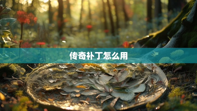 传奇补丁怎么用