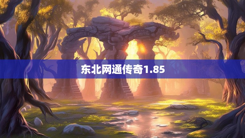 东北网通传奇1.85