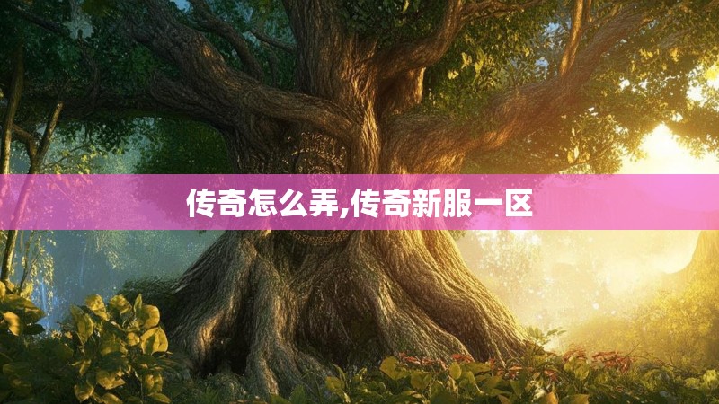 传奇怎么弄,传奇新服一区