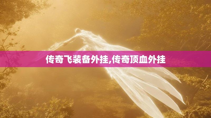 传奇飞装备外挂,传奇顶血外挂