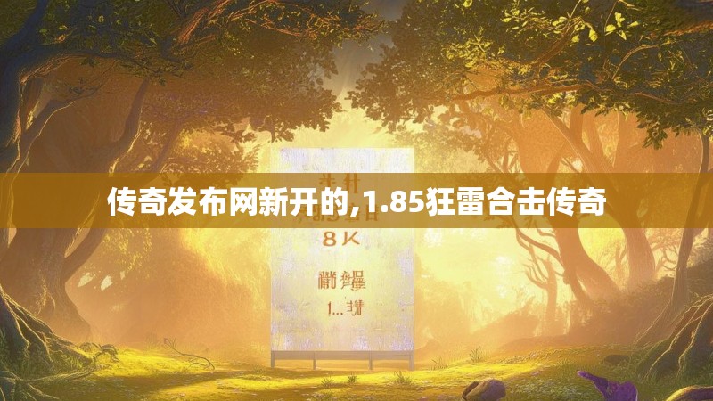 传奇发布网新开的,1.85狂雷合击传奇