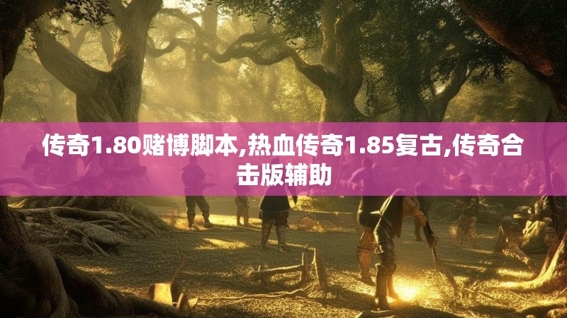 传奇1.80赌博脚本,热血传奇1.85复古,传奇合击版辅助