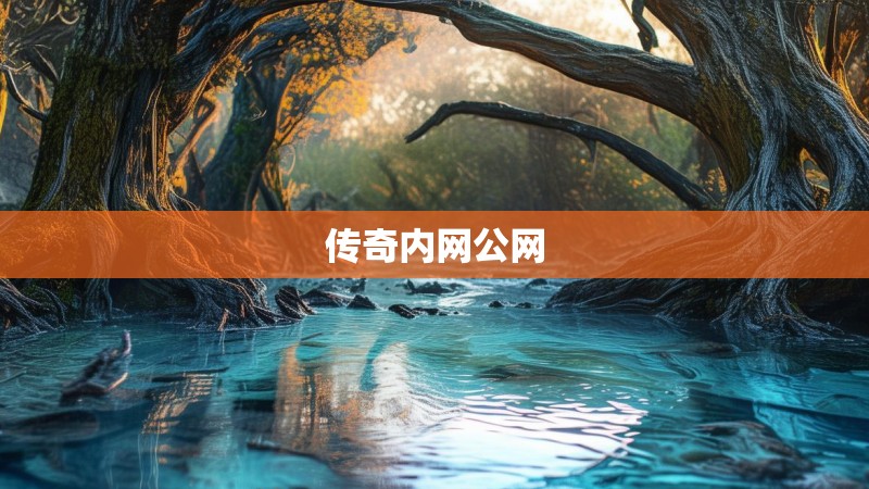 传奇内网公网