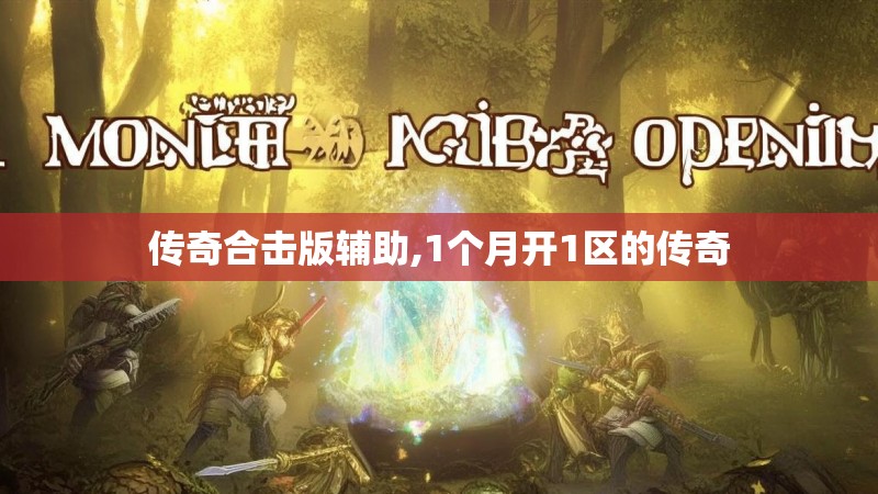 传奇合击版辅助,1个月开1区的传奇