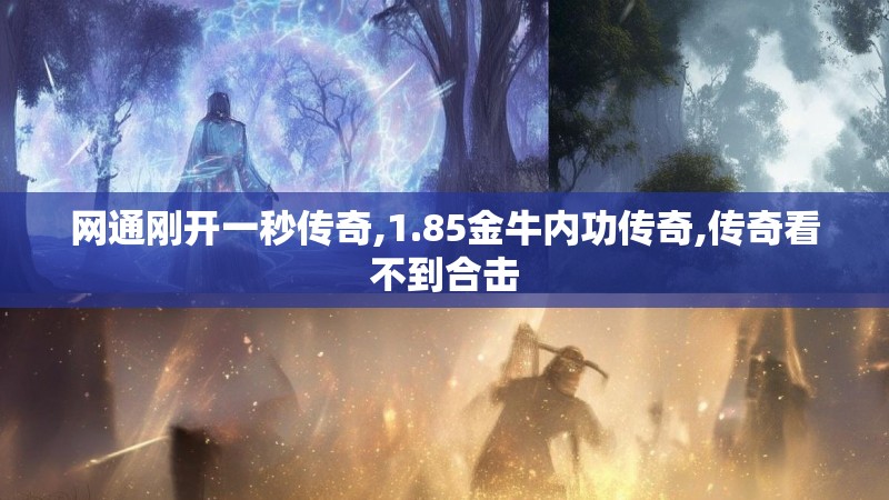 网通刚开一秒传奇,1.85金牛内功传奇,传奇看不到合击