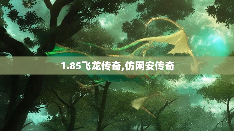 1.85飞龙传奇,仿网安传奇
