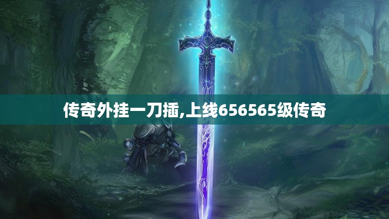 传奇外挂一刀插,上线656565级传奇