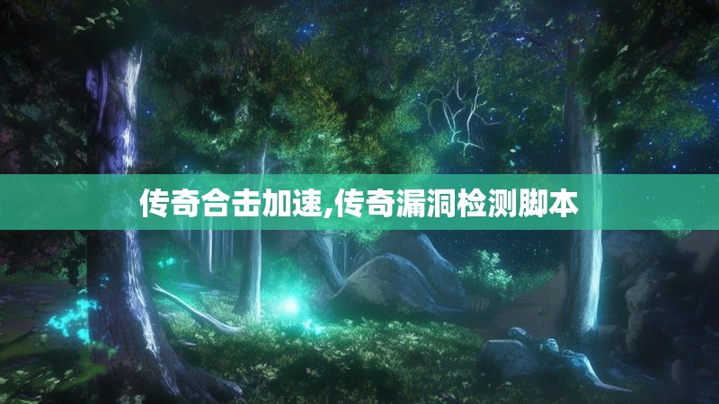 传奇合击加速,传奇漏洞检测脚本