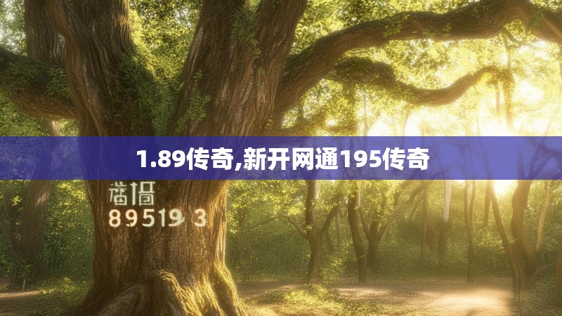 1.89传奇,新开网通195传奇