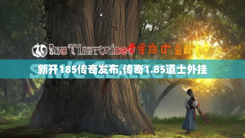 新开185传奇发布,传奇1.85道士外挂