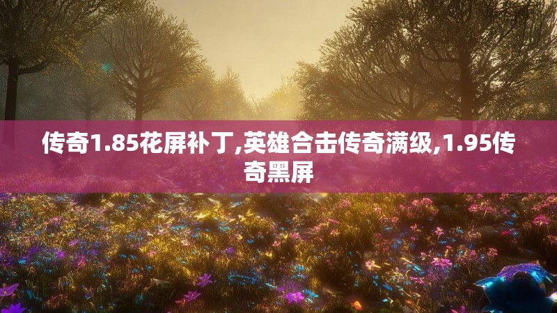 传奇1.85花屏补丁,英雄合击传奇满级,1.95传奇黑屏