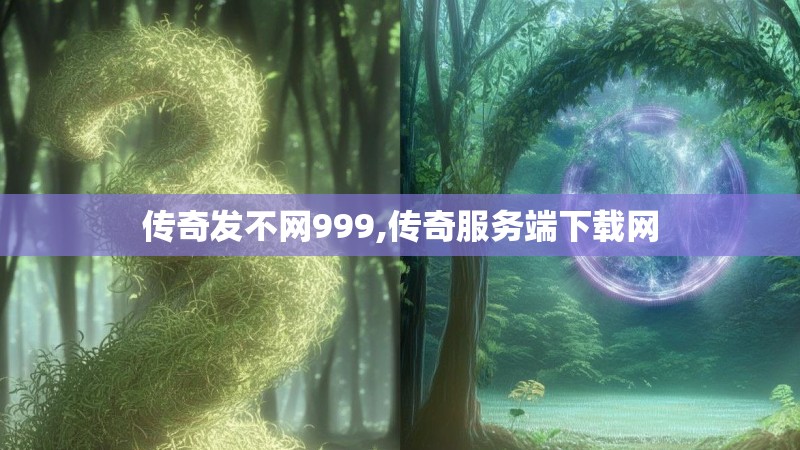 传奇发不网999,传奇服务端下载网