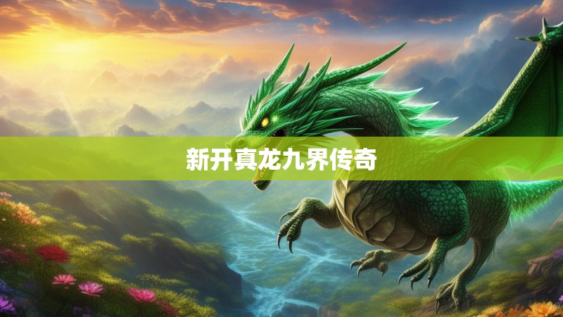 新开真龙九界传奇