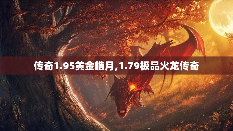 传奇1.95黄金皓月,1.79极品火龙传奇