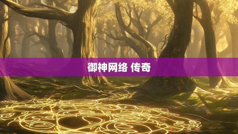 御神网络 传奇