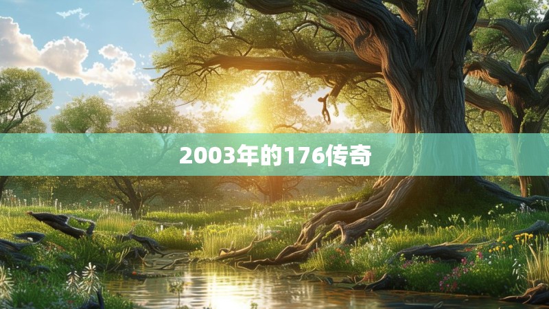 2003年的176传奇