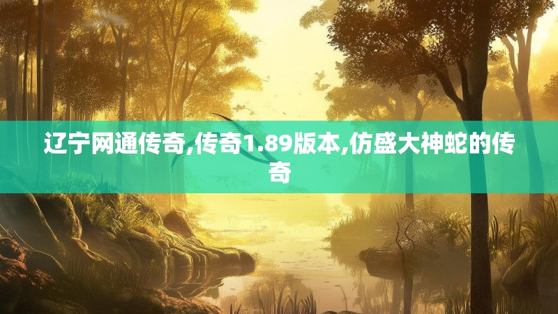 辽宁网通传奇,传奇1.89版本,仿盛大神蛇的传奇