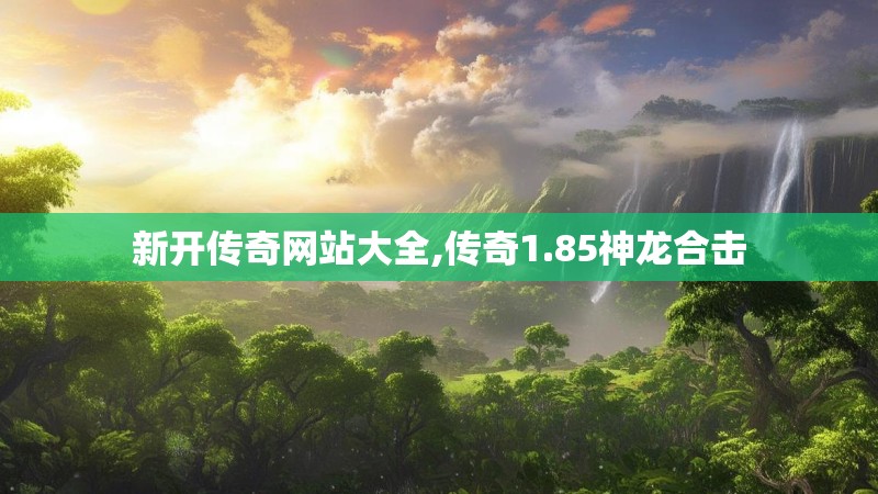 新开传奇网站大全,传奇1.85神龙合击