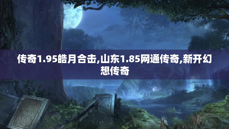 传奇1.95皓月合击,山东1.85网通传奇,新开幻想传奇