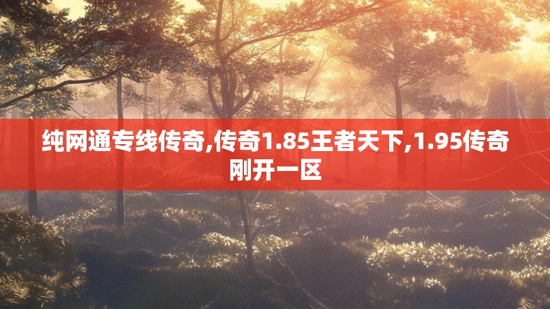 纯网通专线传奇,传奇1.85王者天下,1.95传奇刚开一区