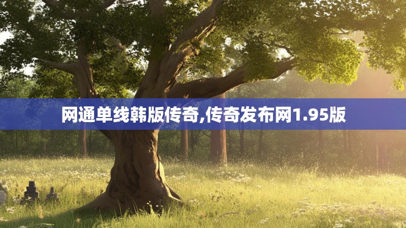 网通单线韩版传奇,传奇发布网1.95版