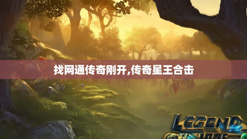 找网通传奇刚开,传奇星王合击