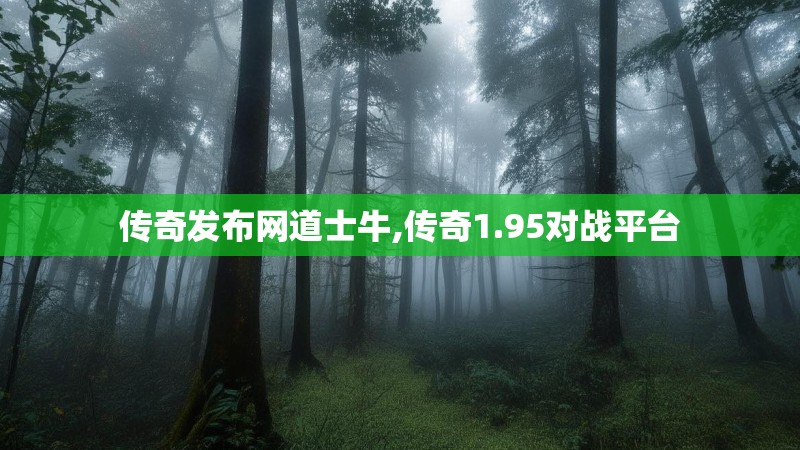 传奇发布网道士牛,传奇1.95对战平台