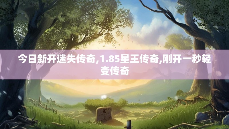 今日新开迷失传奇,1.85星王传奇,刚开一秒轻变传奇