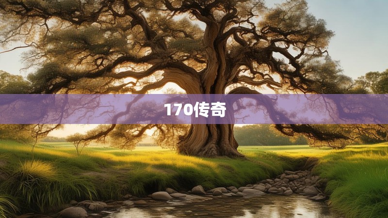 170传奇