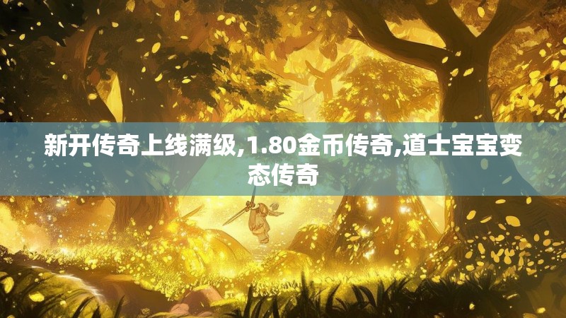 新开传奇上线满级,1.80金币传奇,道士宝宝变态传奇