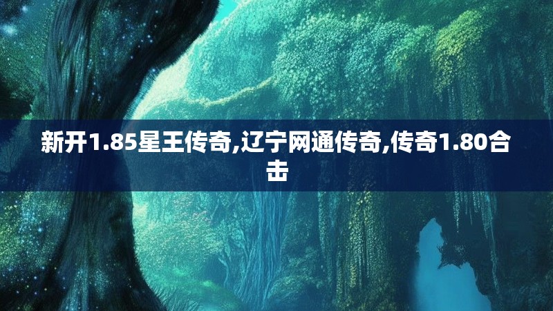 新开1.85星王传奇,辽宁网通传奇,传奇1.80合击