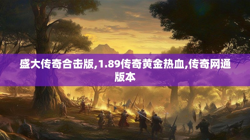 盛大传奇合击版,1.89传奇黄金热血,传奇网通版本