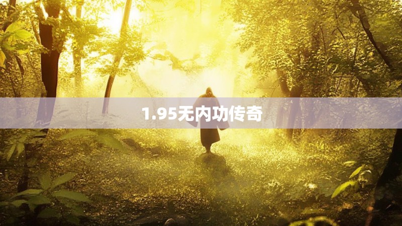 1.95无内功传奇