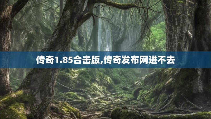 传奇1.85合击版,传奇发布网进不去
