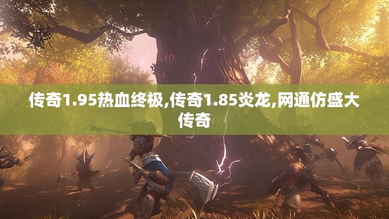 传奇1.95热血终极,传奇1.85炎龙,网通仿盛大传奇