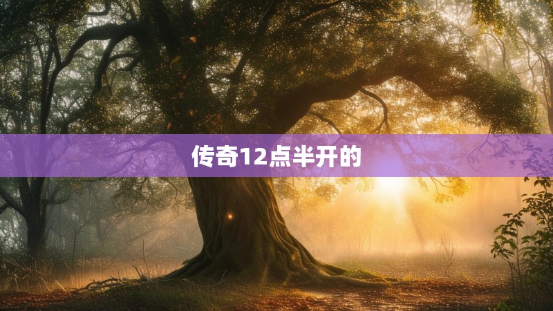传奇12点半开的