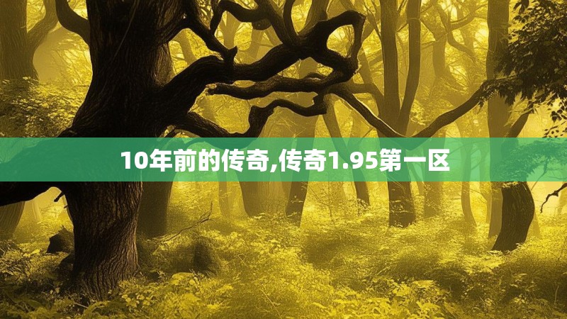 10年前的传奇,传奇1.95第一区