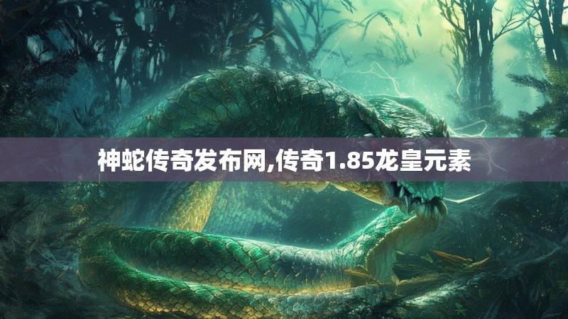 神蛇传奇发布网,传奇1.85龙皇元素