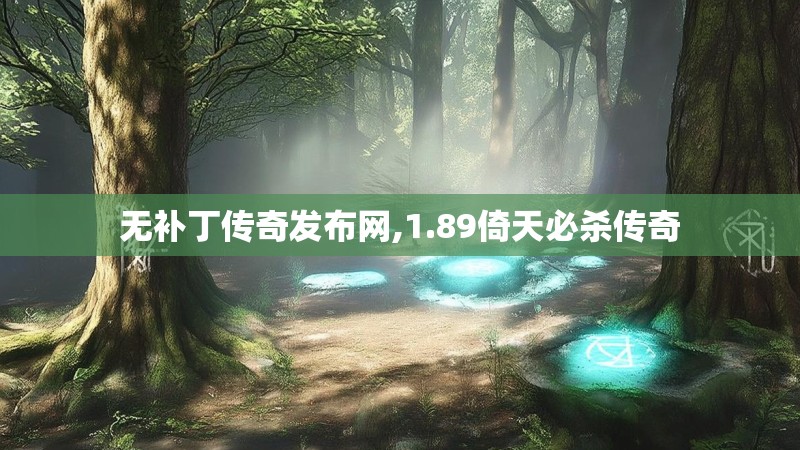 无补丁传奇发布网,1.89倚天必杀传奇