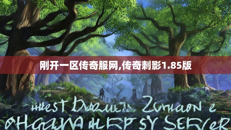 刚开一区传奇服网,传奇刺影1.85版