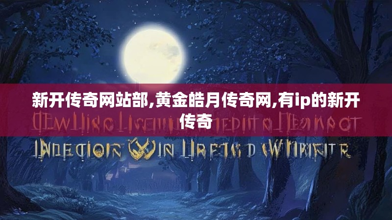 新开传奇网站部,黄金皓月传奇网,有ip的新开传奇