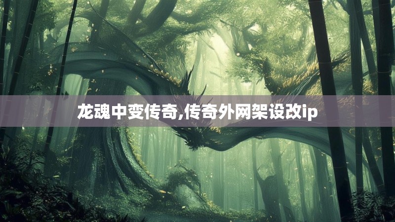 龙魂中变传奇,传奇外网架设改ip