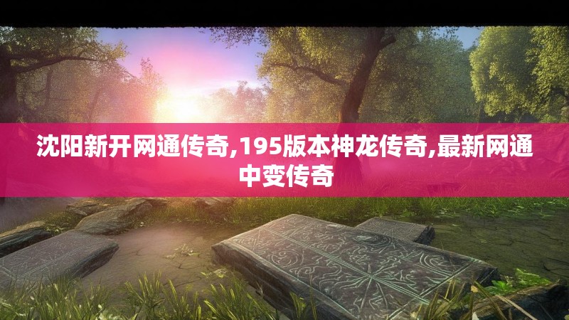 沈阳新开网通传奇,195版本神龙传奇,最新网通中变传奇