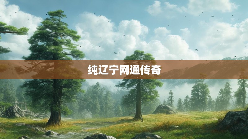 纯辽宁网通传奇