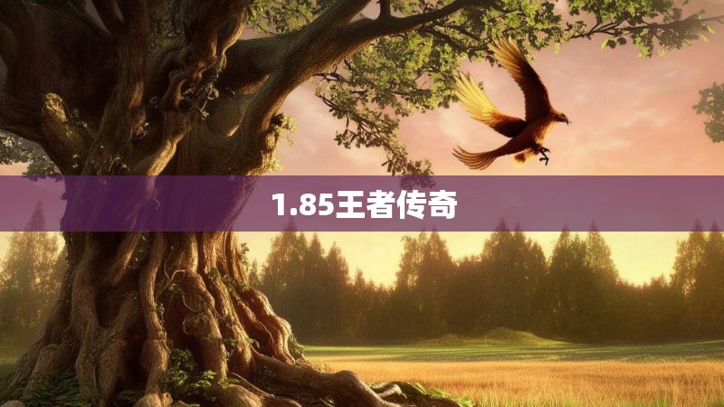 1.85王者传奇