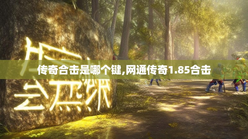 传奇合击是哪个键,网通传奇1.85合击