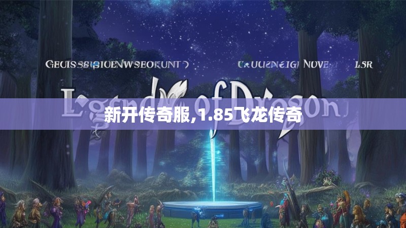 新开传奇服,1.85飞龙传奇